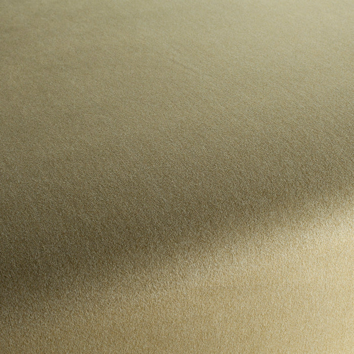 Chivasso Shallow 031 Fabric CH3090/031