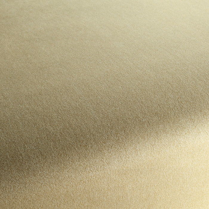 Chivasso Shallow 040 Fabric CH3090/040