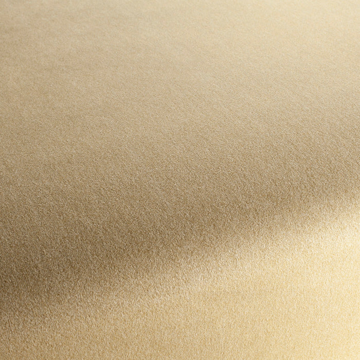 Chivasso Shallow 041 Fabric Sample CH3090/041