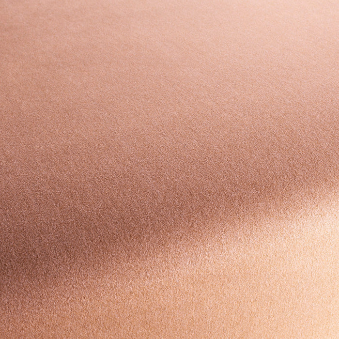 Chivasso Shallow 061 Fabric CH3090/061