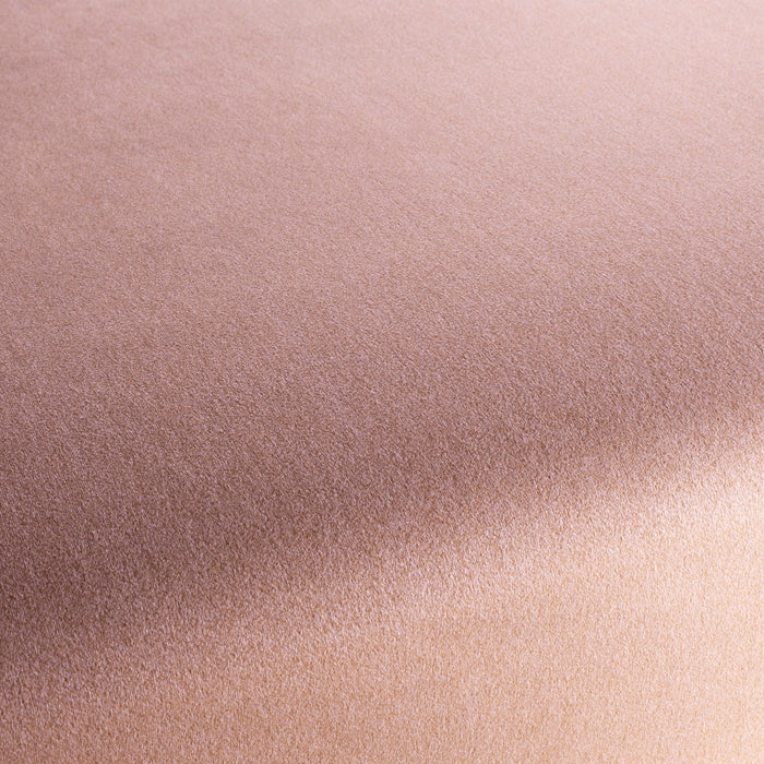 Chivasso Shallow 062 Fabric Sample CH3090/062