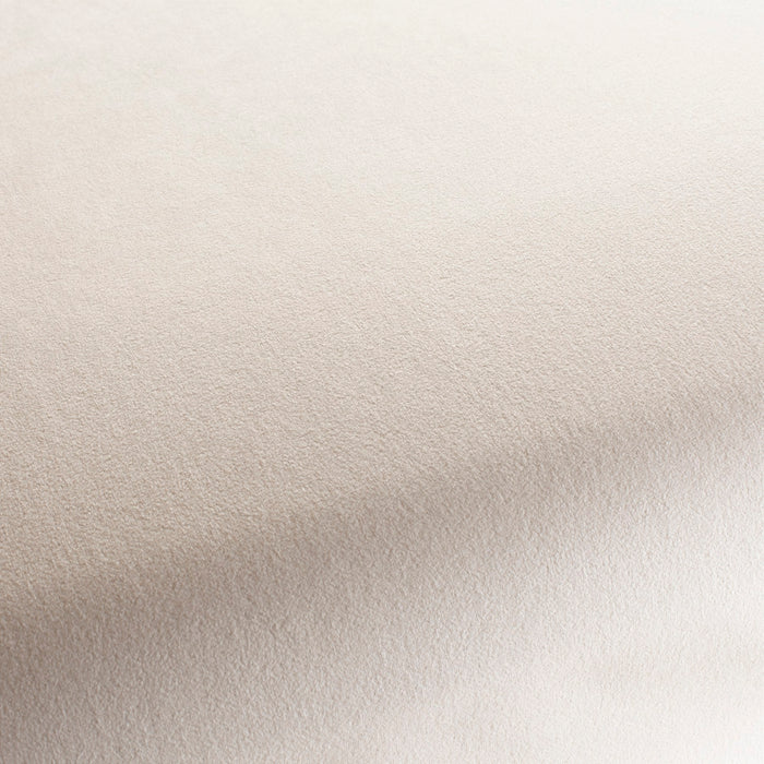 Chivasso Shallow 071 Fabric Sample CH3090/071