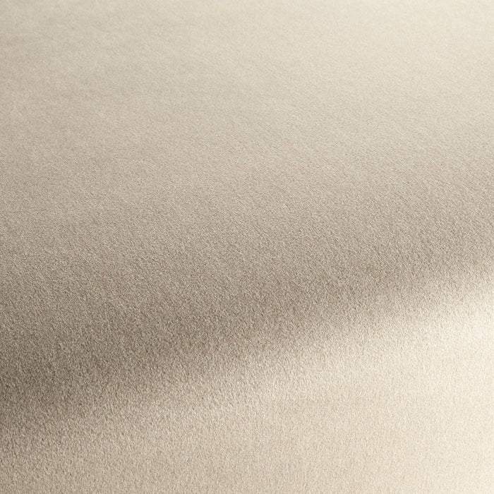 Chivasso Shallow 072 Fabric CH3090/072