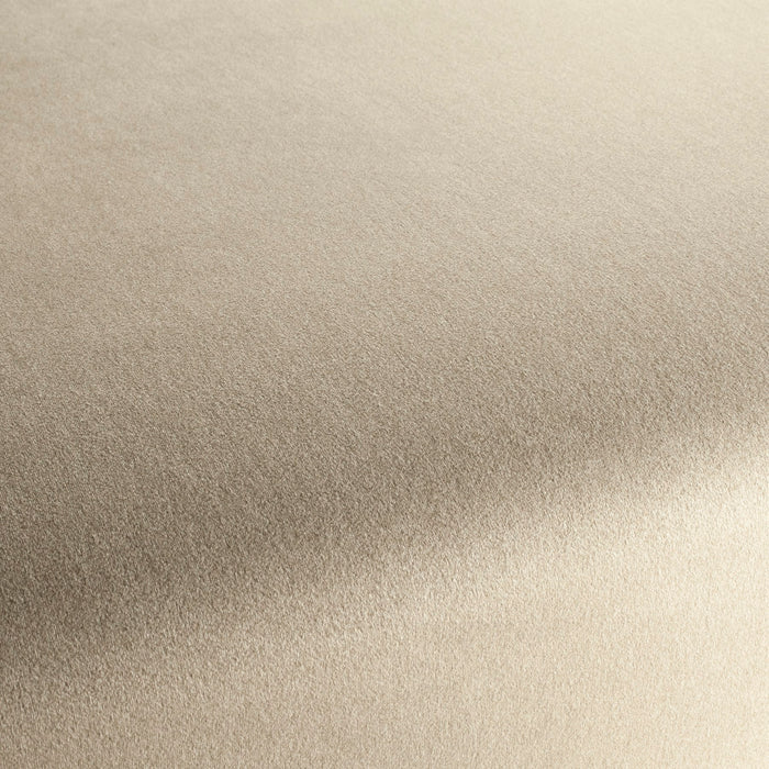 Chivasso Shallow 073 Fabric CH3090/073