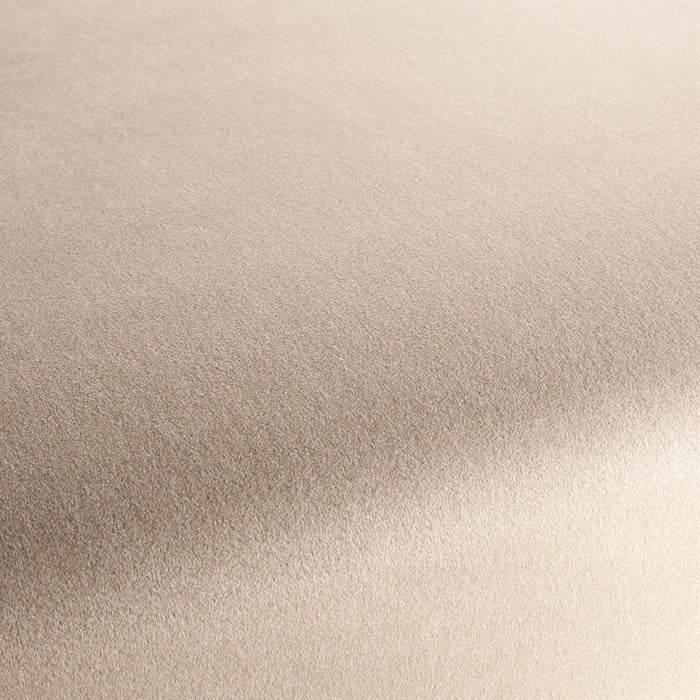 Chivasso Shallow 074 Fabric Sample CH3090/074