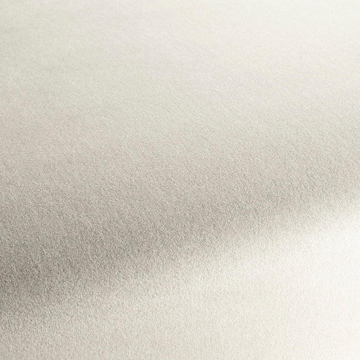 Chivasso Shallow 075 Fabric CH3090/075