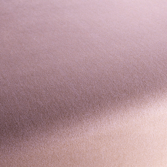 Chivasso Shallow 080 Fabric CH3090/080