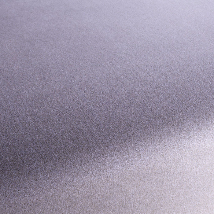 Chivasso Shallow 081 Fabric CH3090/081