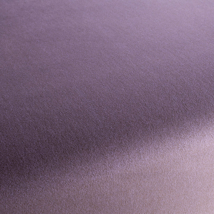 Chivasso Shallow 082 Fabric Sample CH3090/082