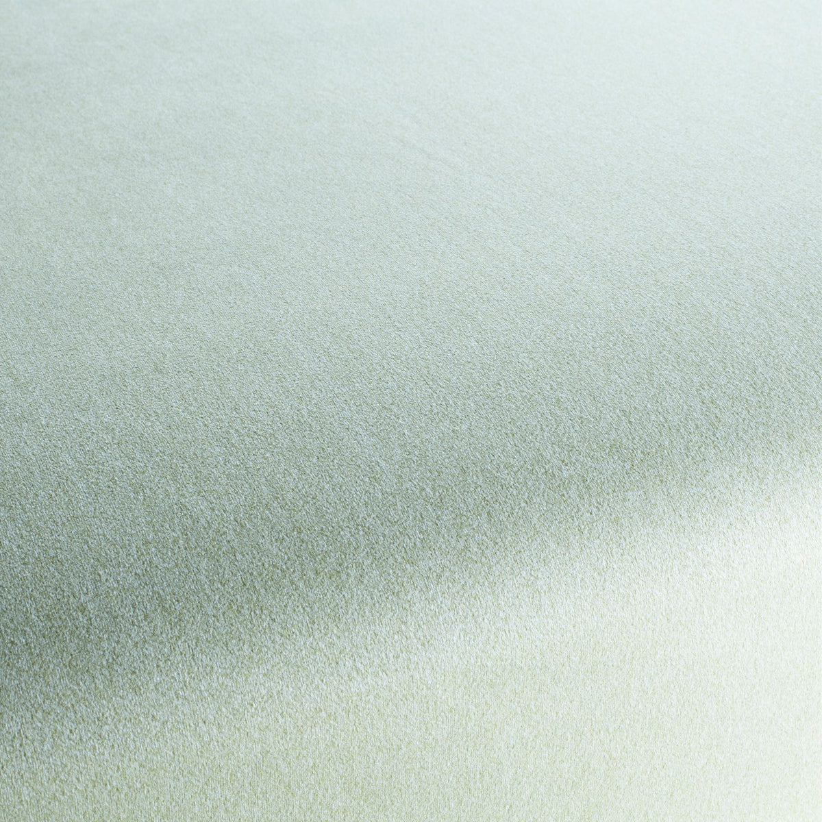 Chivasso Shallow 083 CH3090/083 Fabric | 40% Off (Samples)