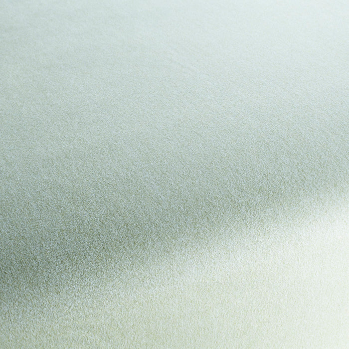 Chivasso Shallow 083 Fabric CH3090/083