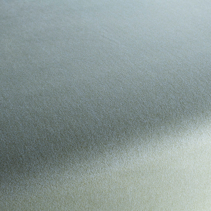 Chivasso Shallow 085 Fabric CH3090/085