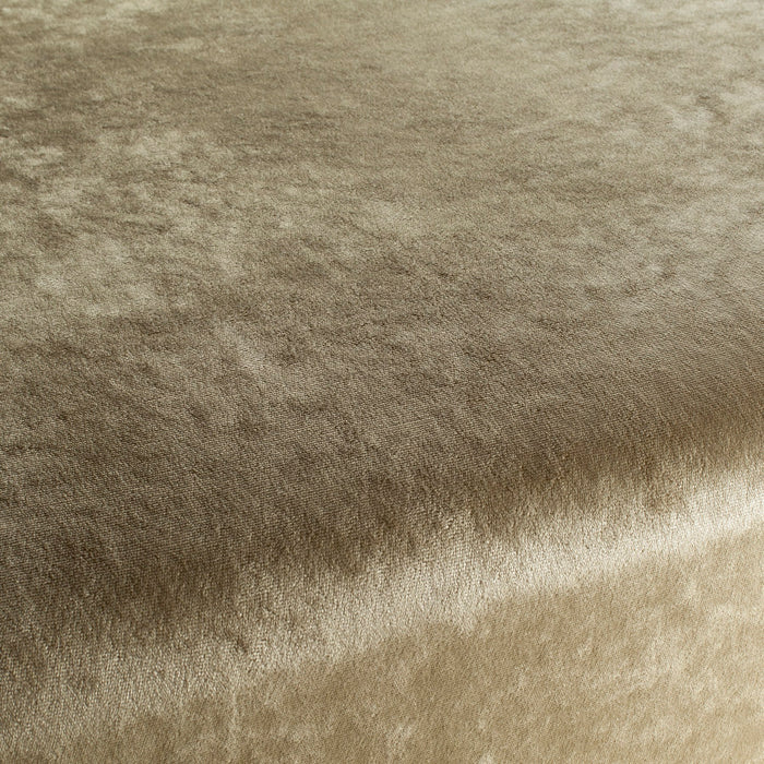 Chivasso Gangster 030 Fabric Sample CH3093/030