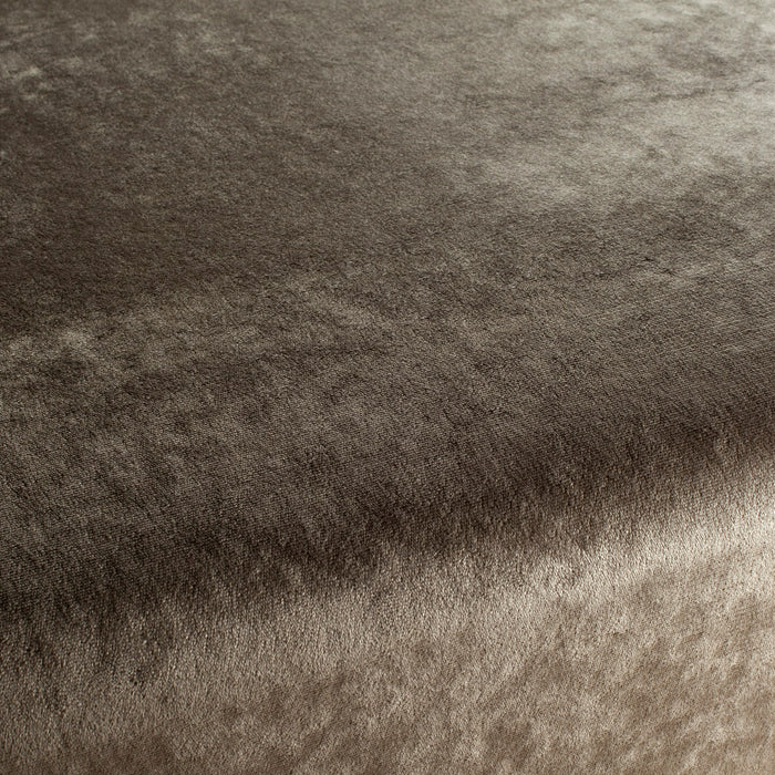 Chivasso Gangster 036 Fabric Sample CH3093/036