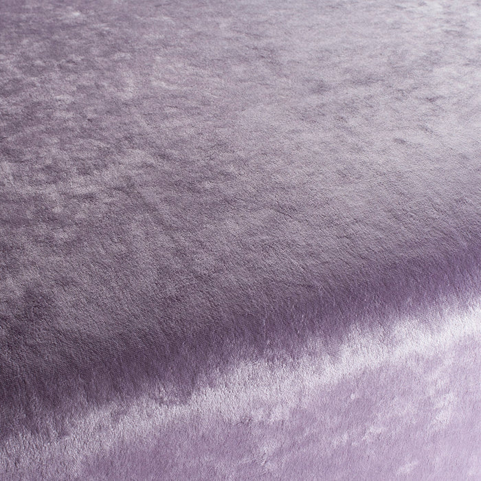 Chivasso Gangster 084 Fabric Sample CH3093/084