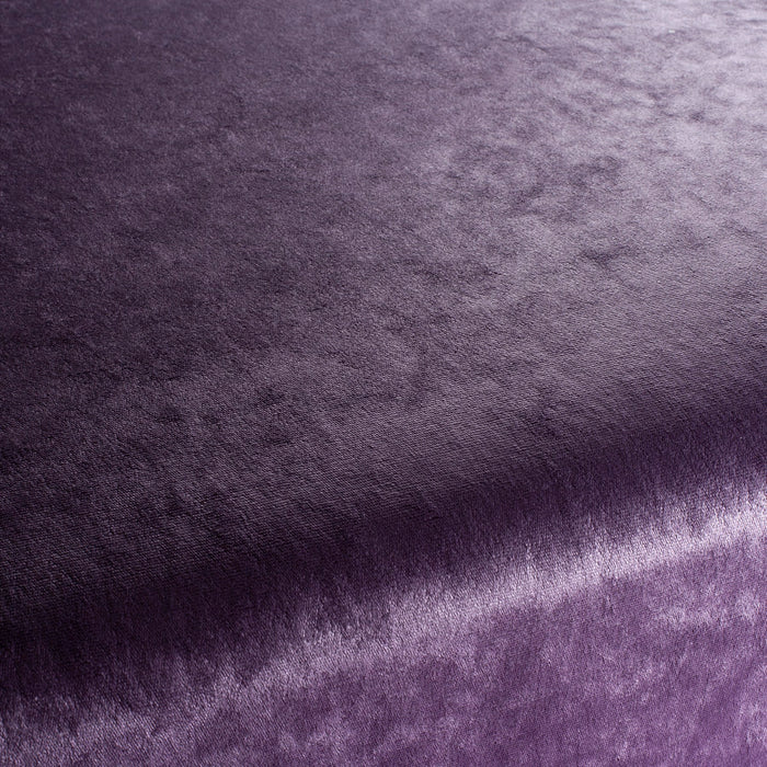 Chivasso Gangster 086 Fabric Sample CH3093/086