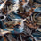 Chivasso Fabulous Beauty 031 Fabric CH3096/031