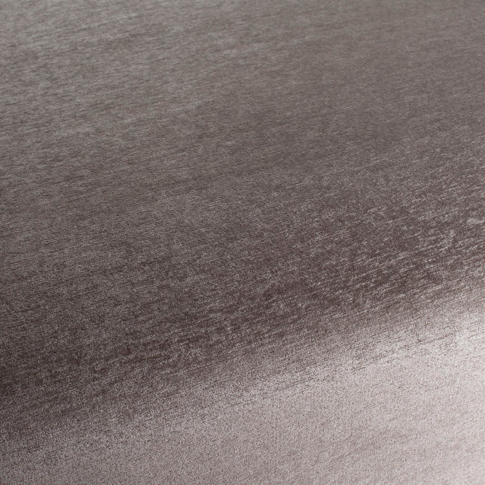 Chivasso Chin Chin 021 Fabric Sample CH3119/021