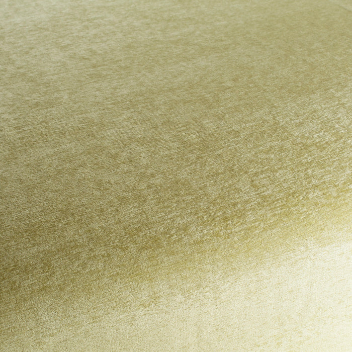 Chivasso Chin Chin 031 Fabric Sample CH3119/031