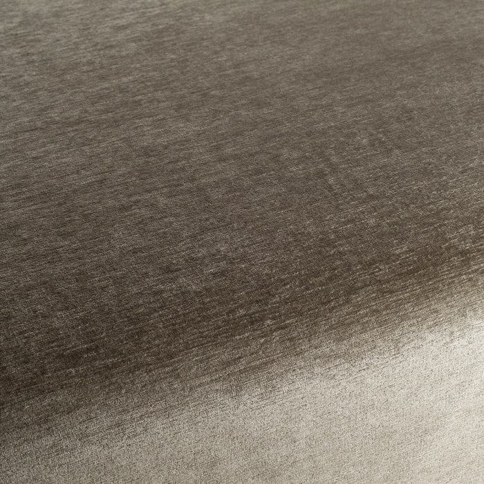 Chivasso Chin Chin 033 Fabric Sample CH3119/033