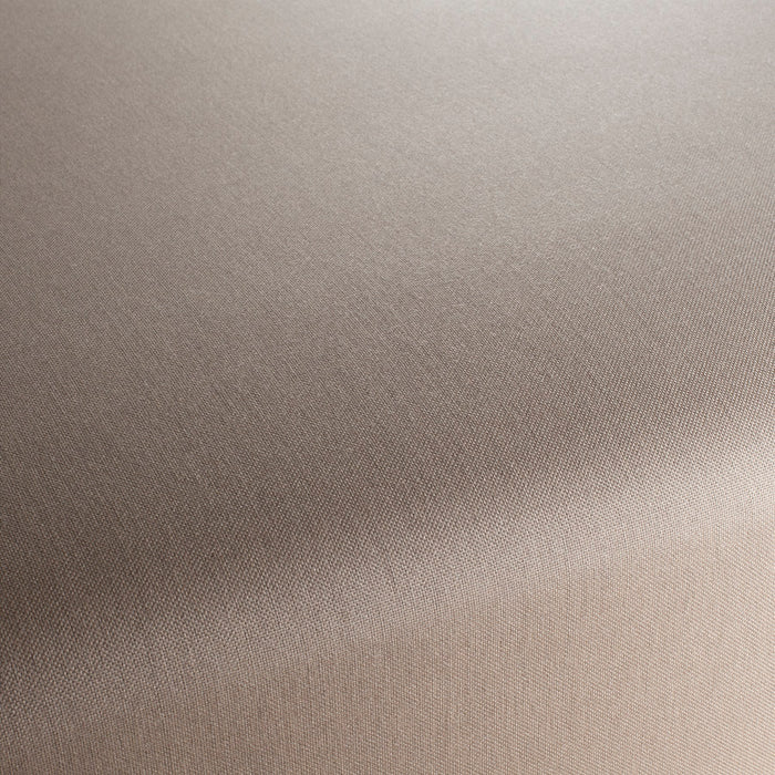 Chivasso My Palm Valley 072 Fabric Sample CH3140/072