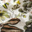 Chivasso Fantastic Madagascar Outdoor 040 Fabric CH3142/040