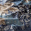 Chivasso Spirit Of Nature 050 Fabric CH3199/050