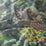 Chivasso Hello Beauty 050 Fabric CH3217/050