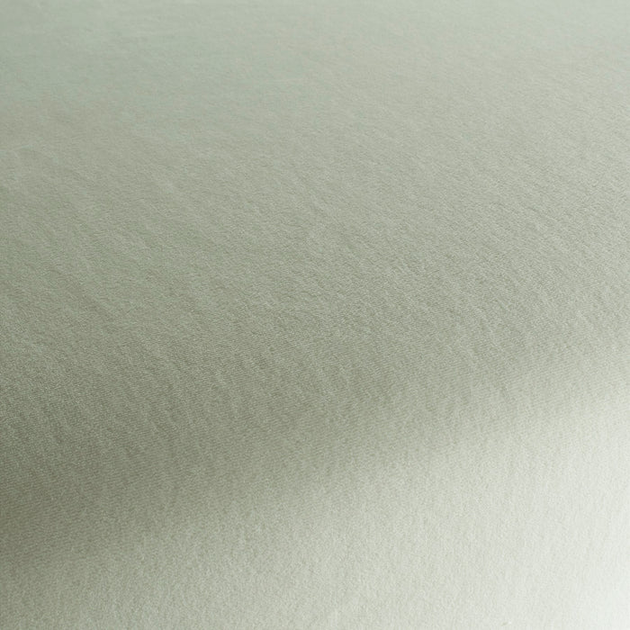 Chivasso Sweetest Taboo 030 Fabric CH3230/030