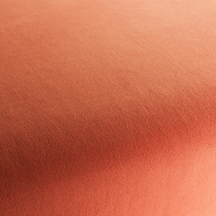 Chivasso Sweetest Taboo 064 Fabric CH3230/064