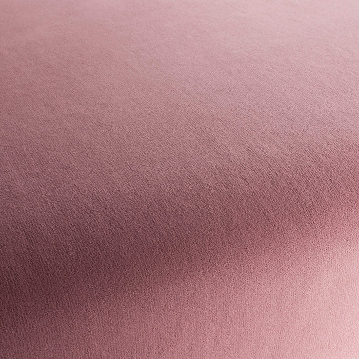 Chivasso Sweetest Taboo 068 Fabric CH3230/068