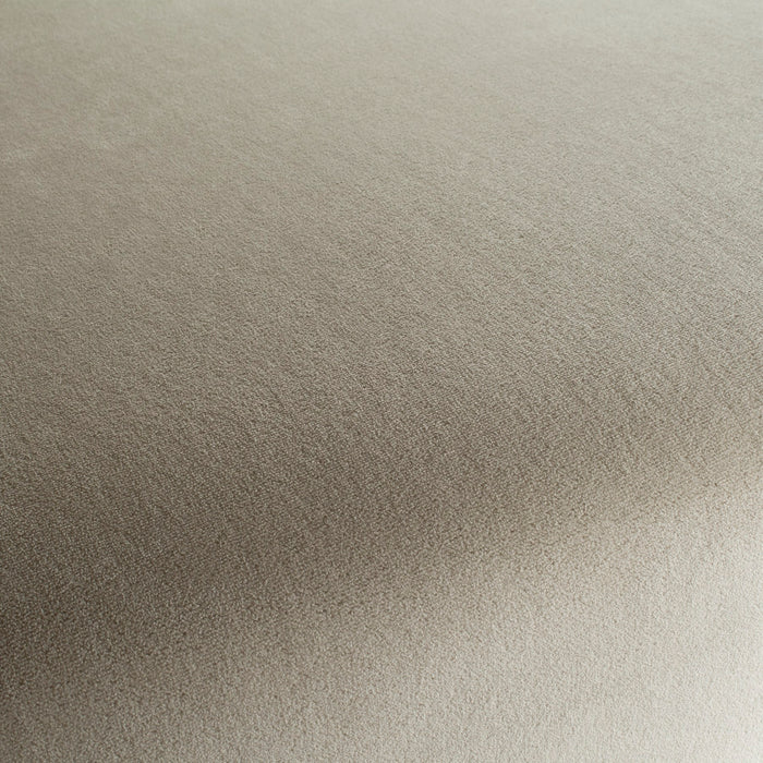 Chivasso Sweetest Taboo 070 Fabric CH3230/070