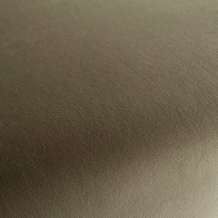 Chivasso Sweetest Taboo 072 Fabric CH3230/072