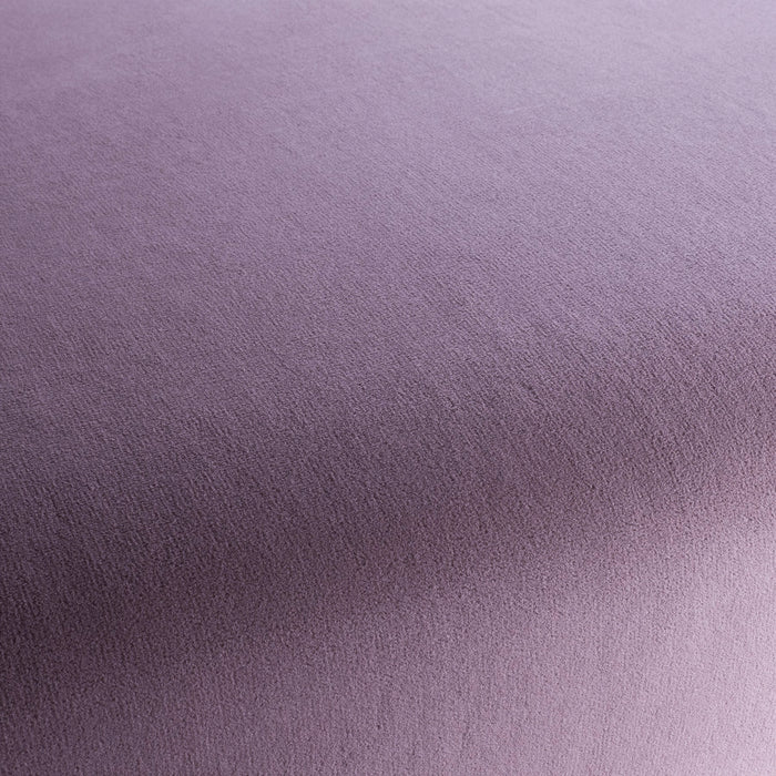 Chivasso Sweetest Taboo 080 Fabric Sample CH3230/080