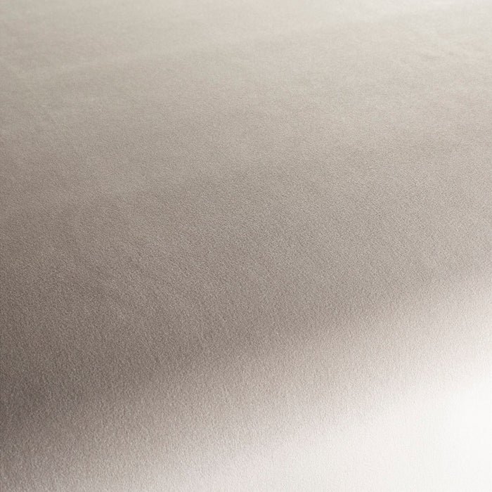 Chivasso The Only 020 Fabric Sample CH3234/020
