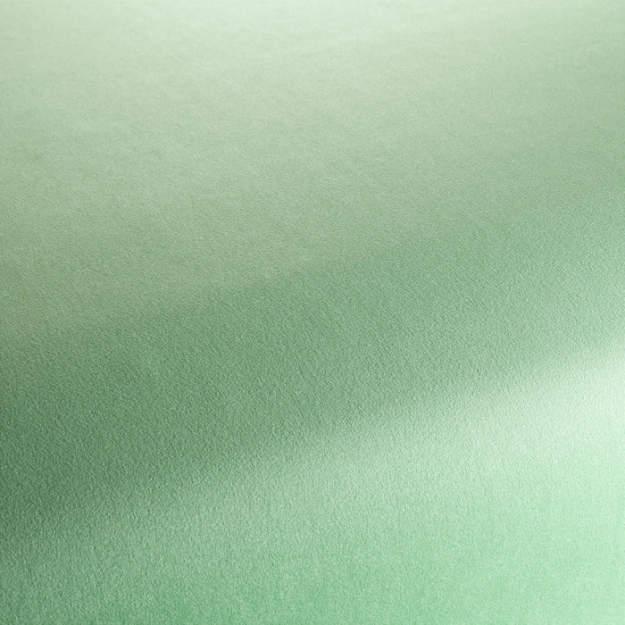 Chivasso The Only 031 Fabric CH3234/031