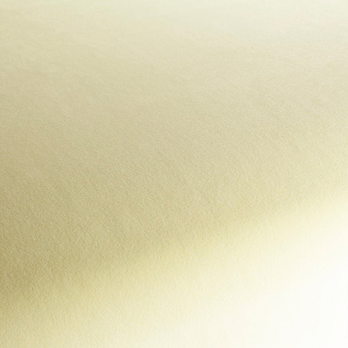 Chivasso The Only 042 Fabric Sample CH3234/042