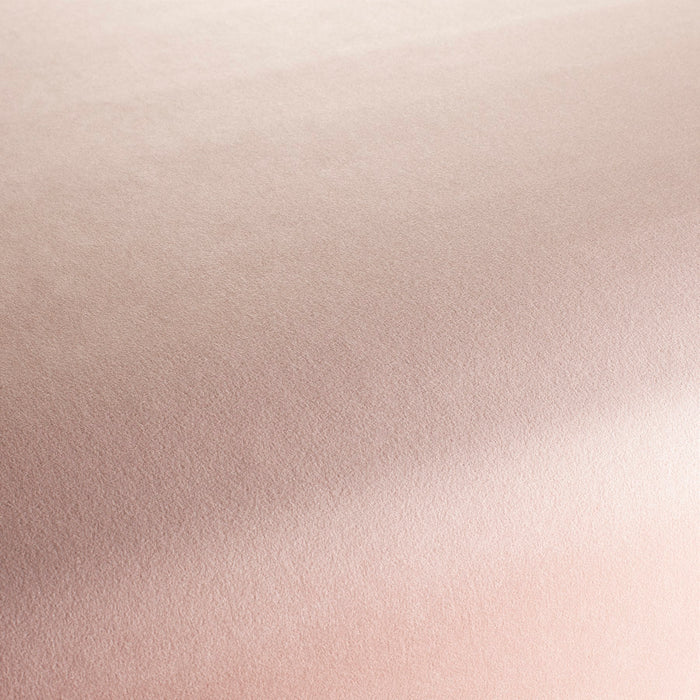 Chivasso The Only 060 Fabric Sample CH3234/060