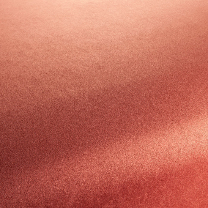Chivasso The Only 061 Fabric CH3234/061