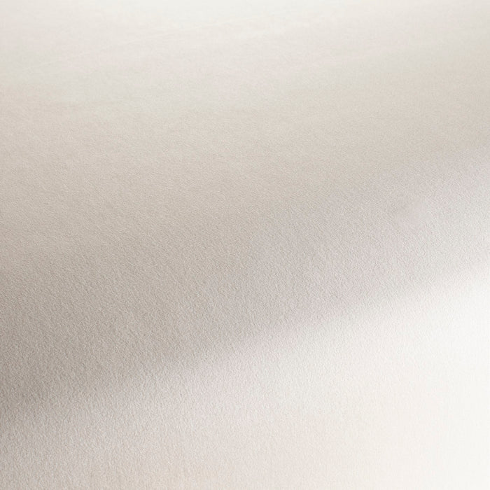 Chivasso The Only 071 Fabric CH3234/071