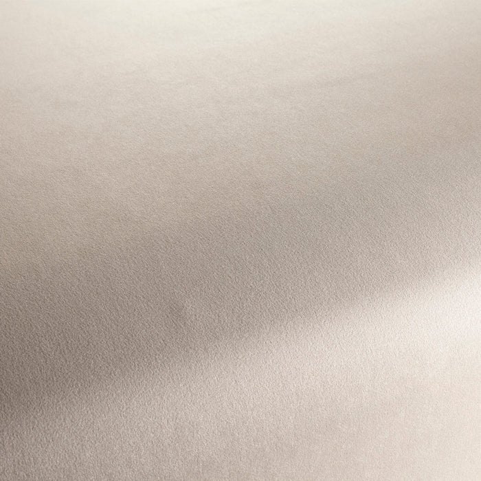 Chivasso The Only 072 Fabric CH3234/072