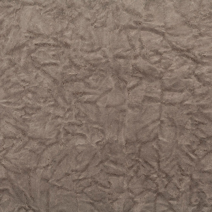 Chivasso Nobody Else 024 Fabric Sample CH3261/024