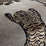 Chivasso Wild Kiss 020 Fabric CH3281/020