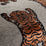 Chivasso Wild Kiss 060 Fabric CH3281/060