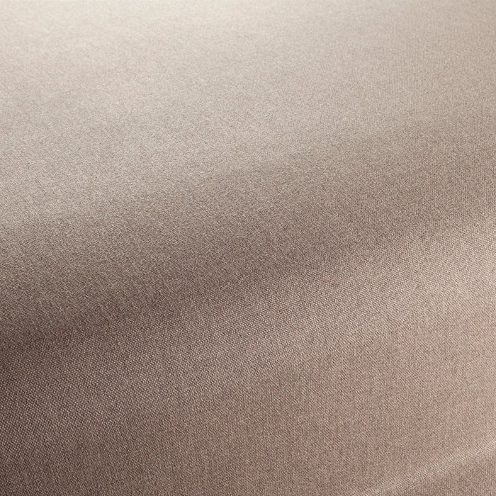 Chivasso Manifest 020 Fabric Sample CH3290/020