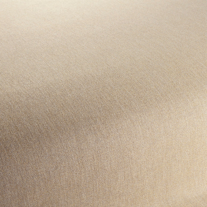 Chivasso Manifest 023 Fabric Sample CH3290/023