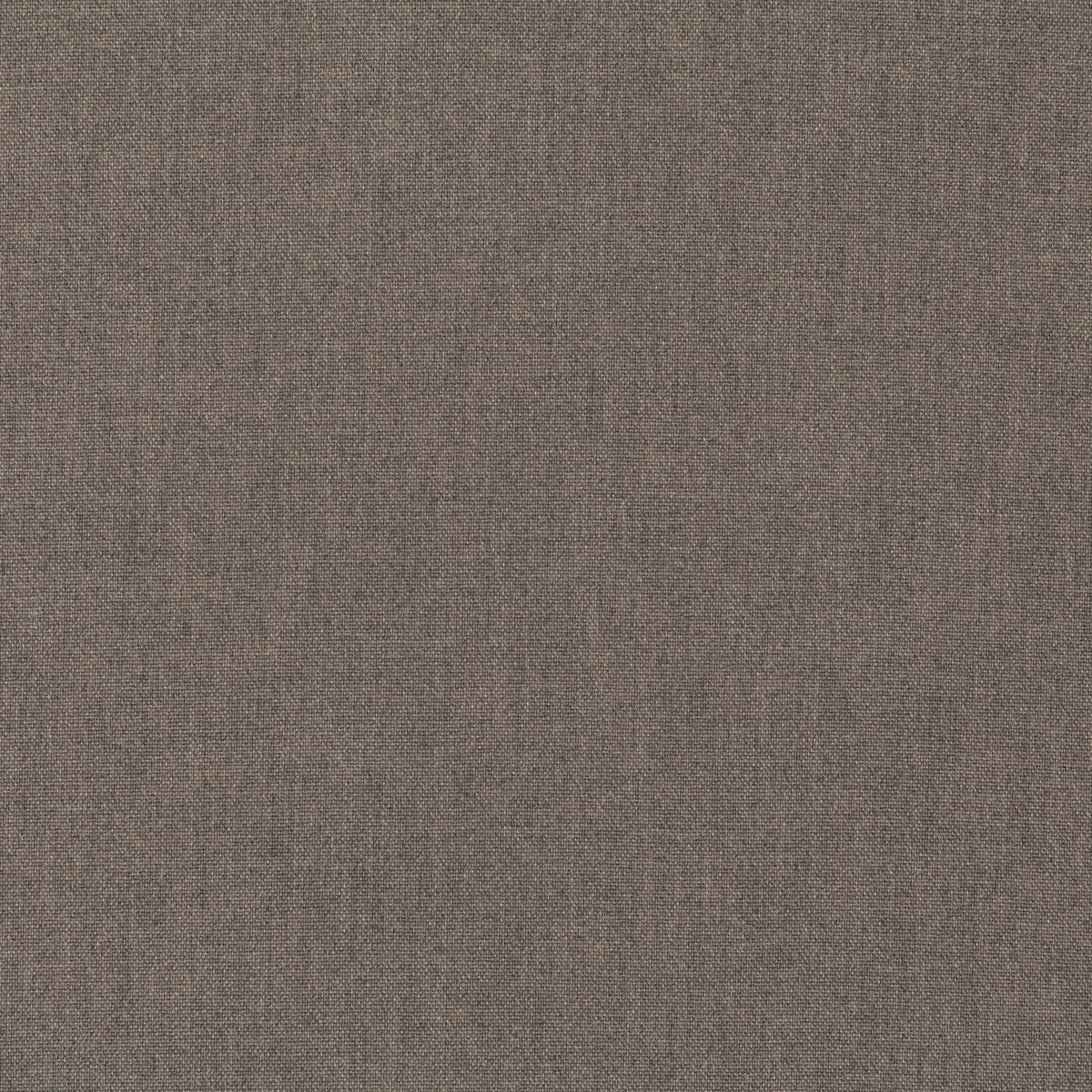 Chivasso Manifest 024 CH3290/024 Sample | 40% Off (Samples)