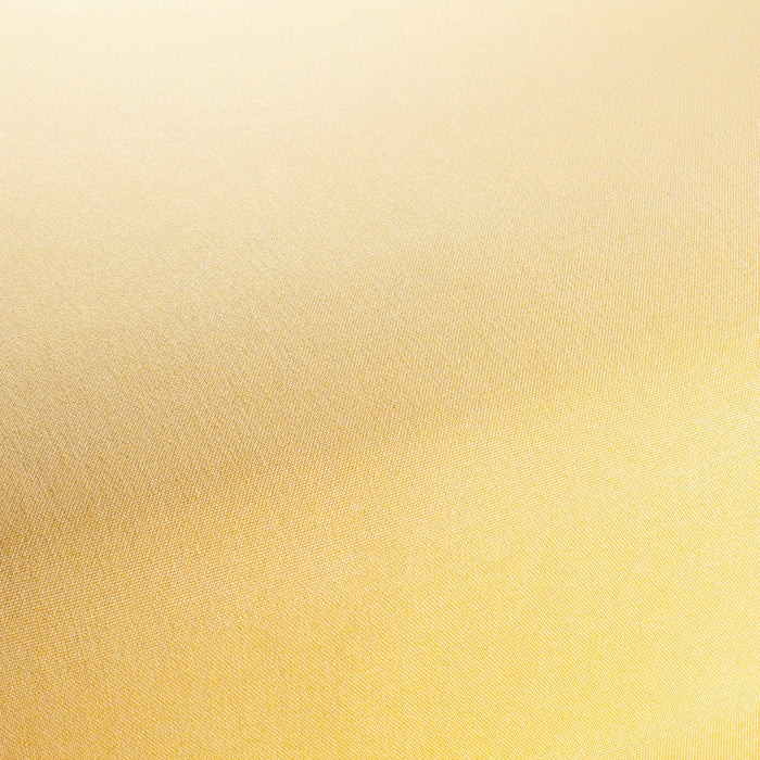 Chivasso Manifest 040 Fabric CH3290/040