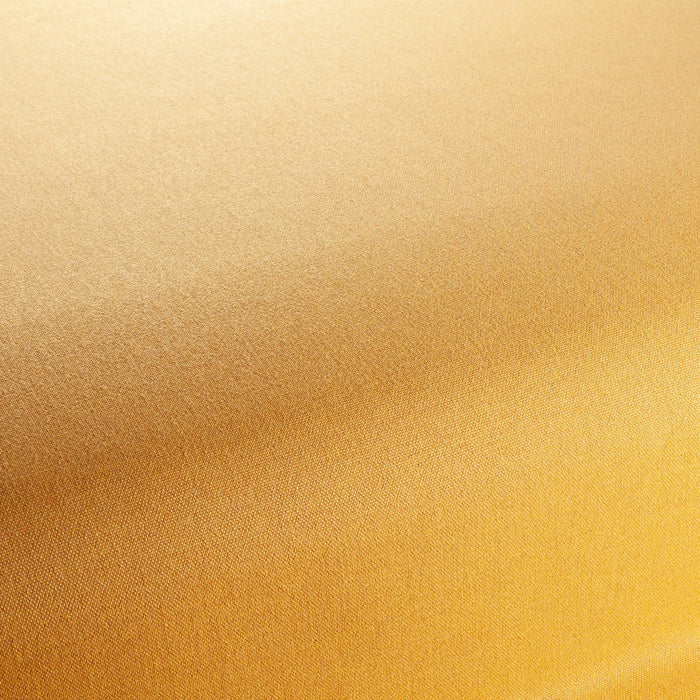 Chivasso Manifest 041 Fabric Sample CH3290/041