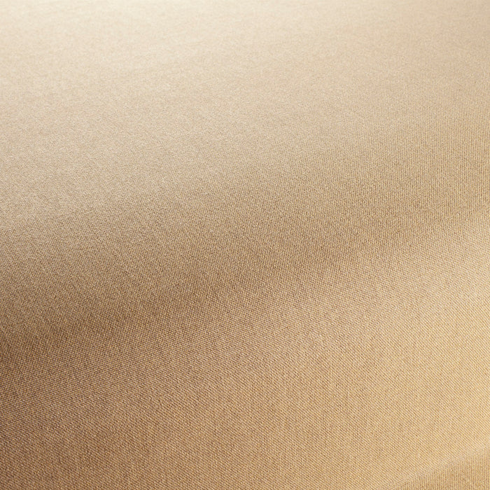 Chivasso Manifest 042 Fabric CH3290/042